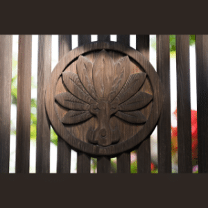 Se libérer de poids qui ne nous appartiennent pas en libérant nos lignées. Dans l'Ain